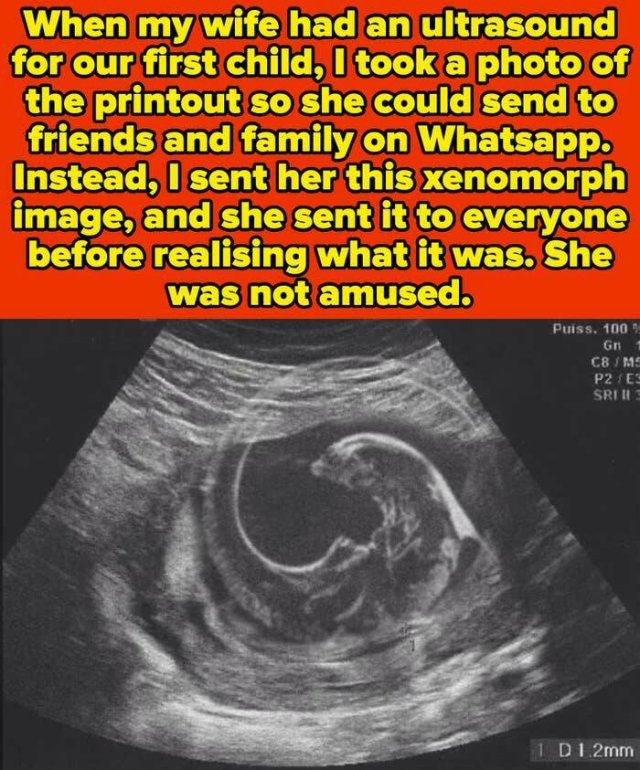 Hilarious Married Life (18 pics)