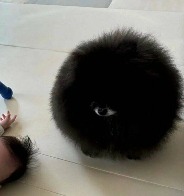 Look Twice (21 pics)