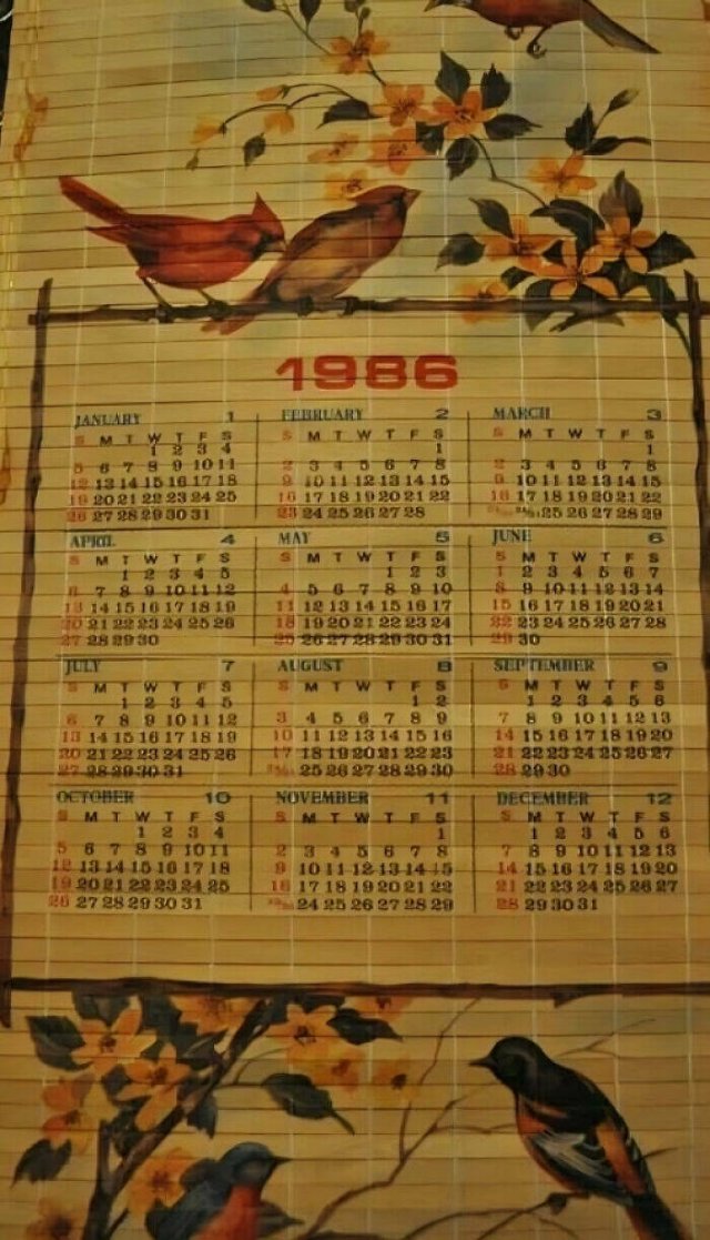 A Little Bit Of Nostalgia (23 pics)