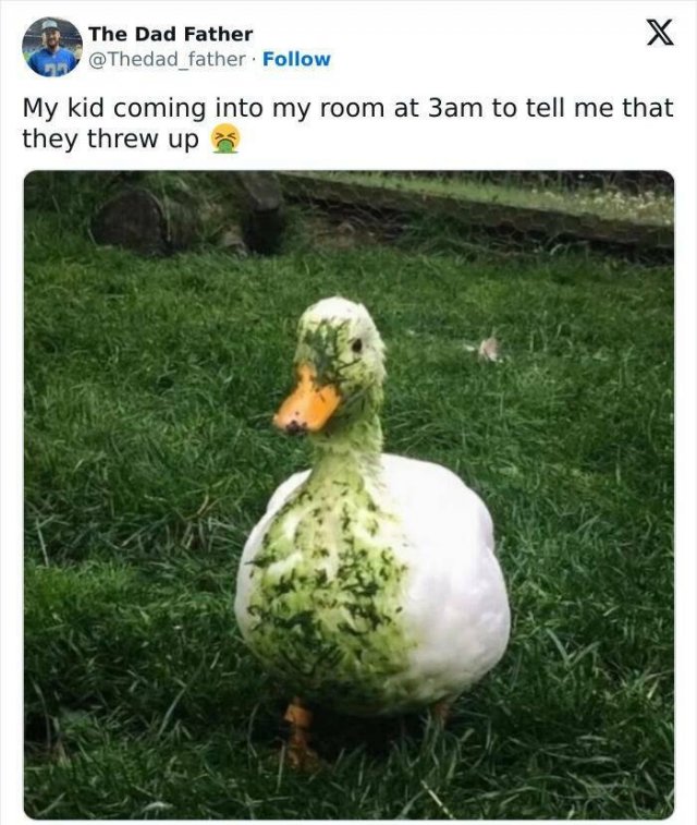 Jokes About Parenting (23 pics)