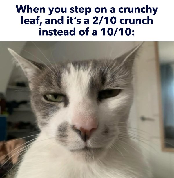 Funny Memes (27 pics)