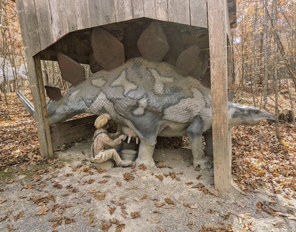 What Is Going On Here? (37 pics)