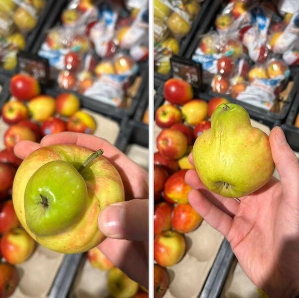 What Is Going On Here? (37 pics)