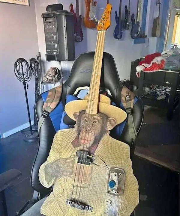 What Is Going On Here? (37 pics)