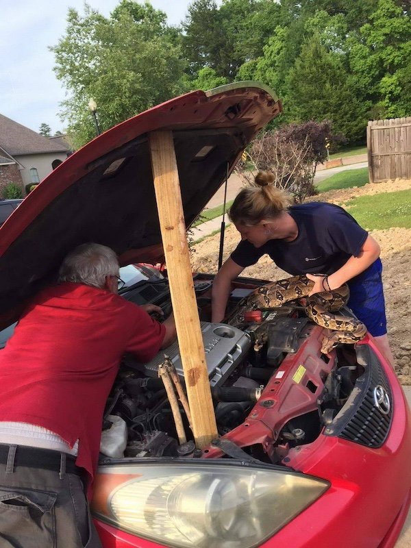 What Is Going On Here? (37 pics)