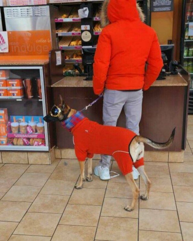 Awful Fashion (28 pics)