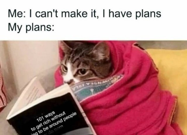 Memes For Introverts (19 pics)