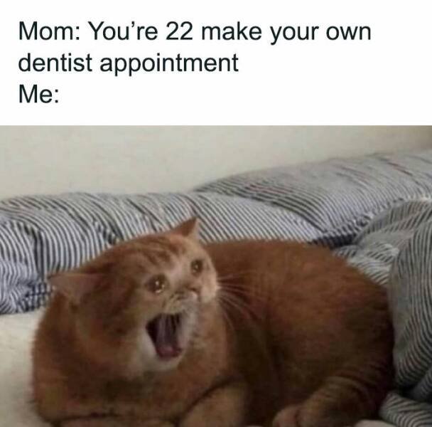Memes For Introverts (19 pics)
