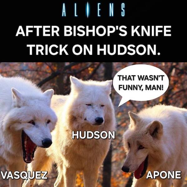 Memes For Movies Fans (25 pics)