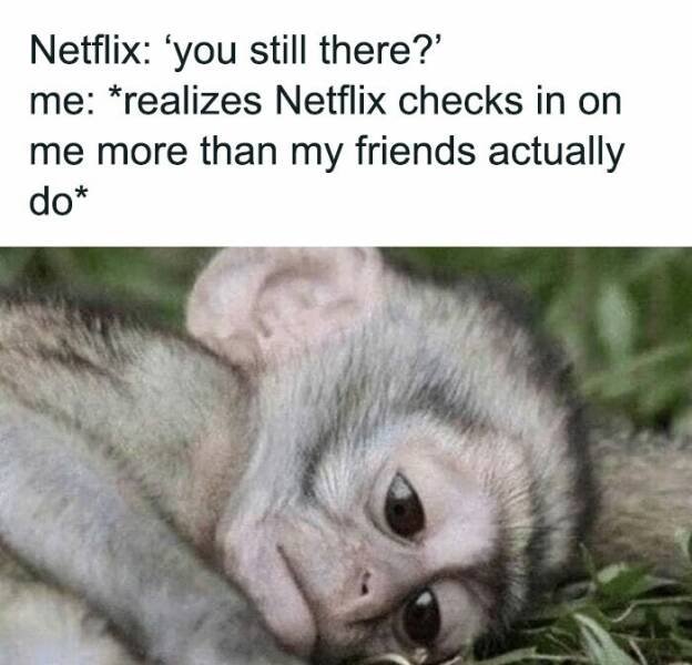 Memes For Introverts (19 pics)