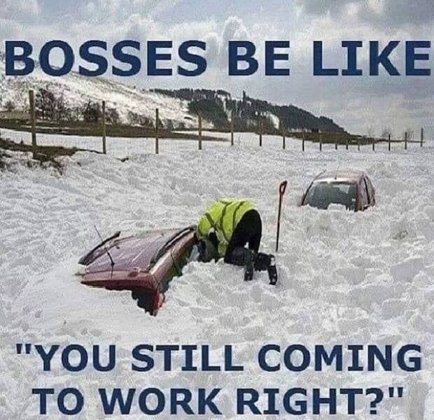 Cool Winter Photos And Jokes (25 pics)