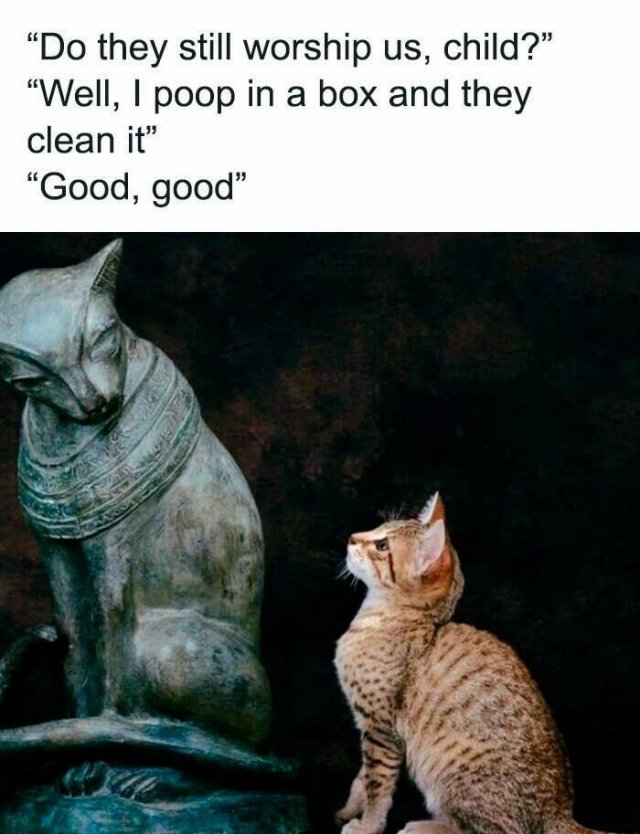 Classical Memes (20 pics)