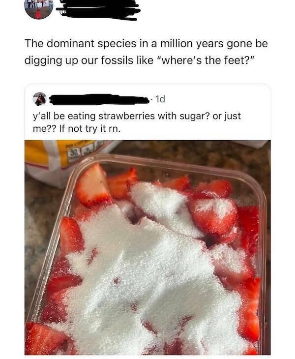 Funny Comments (19 pics)