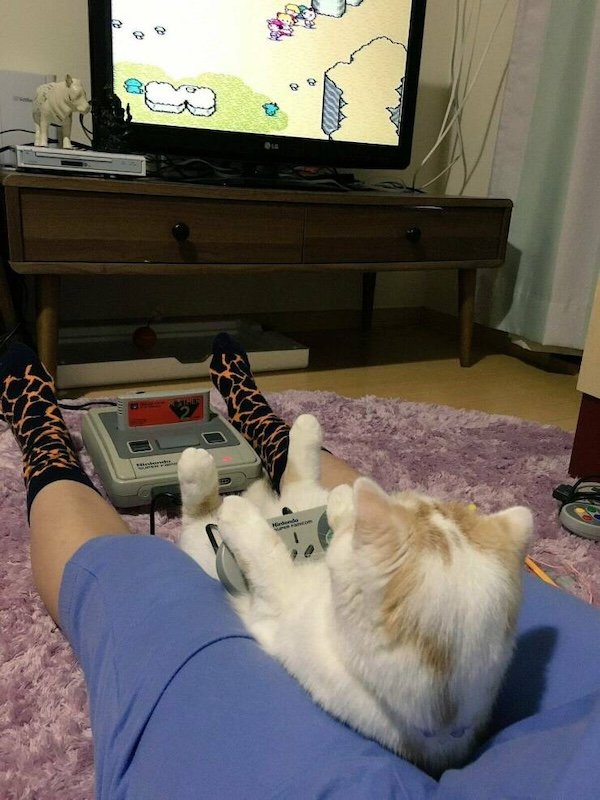 Pictures For Gamers (33 pics)