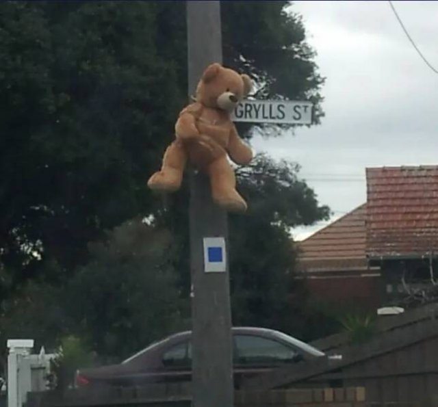 Funny Finds (18 pics)