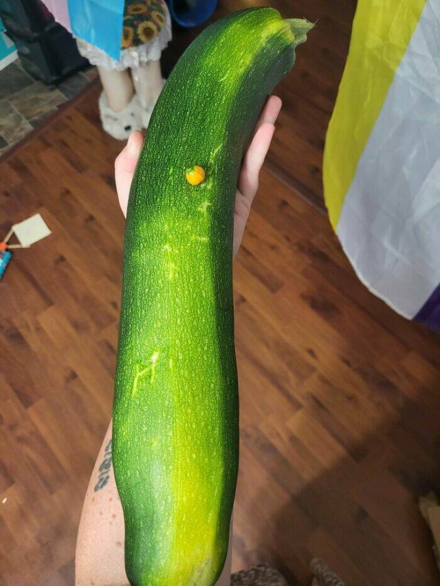 Failed But Cute Harvest (25 pics)
