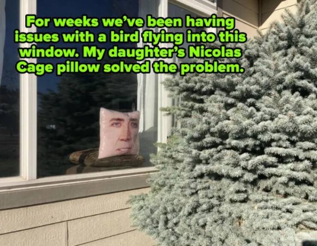 Funny Finds (18 pics)