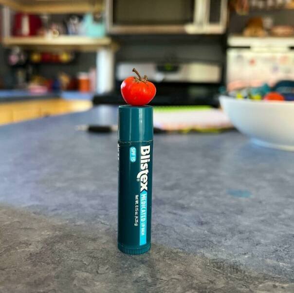 Failed But Cute Harvest (25 pics)