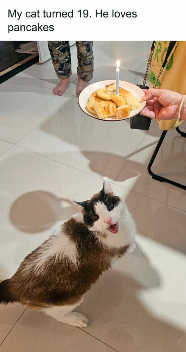 Hilarious And Uplifting Stories (21 pics)