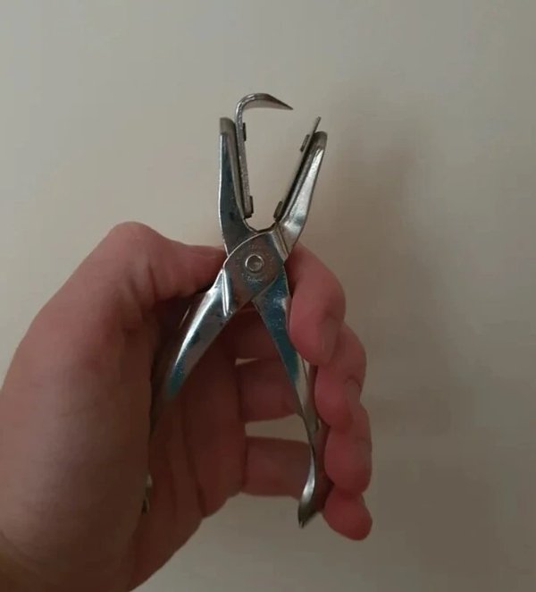 What Are These Things? (15 pics)