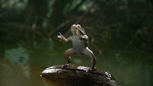 Random Knowledge (16 gifs) Random Knowledge (16 gifs)