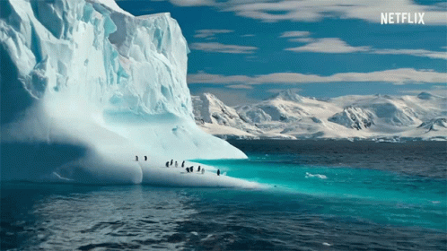 Random Knowledge (16 gifs) Random Knowledge (16 gifs)