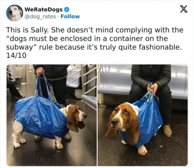 Strange Passengers On The Subway (24 pics)