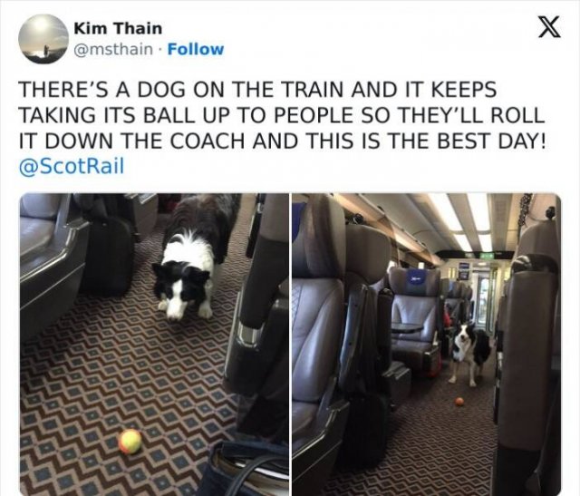 Strange Passengers On The Subway (24 pics)