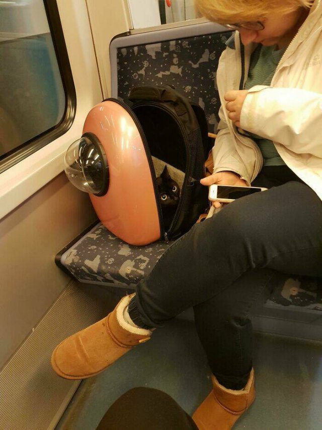 Strange Passengers On The Subway (24 pics)