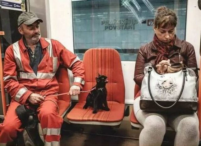Strange Passengers On The Subway (24 pics)