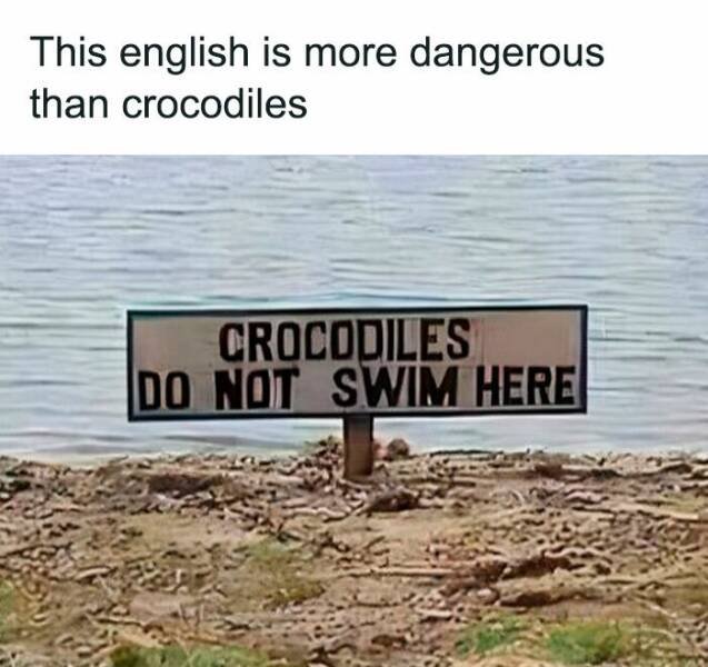 Linguistic Jokes (23 pics)