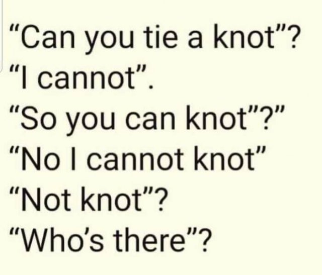 Linguistic Jokes (23 pics)