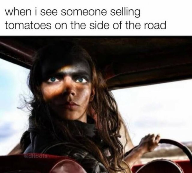 Memes For Country Music Fans (14 pics)