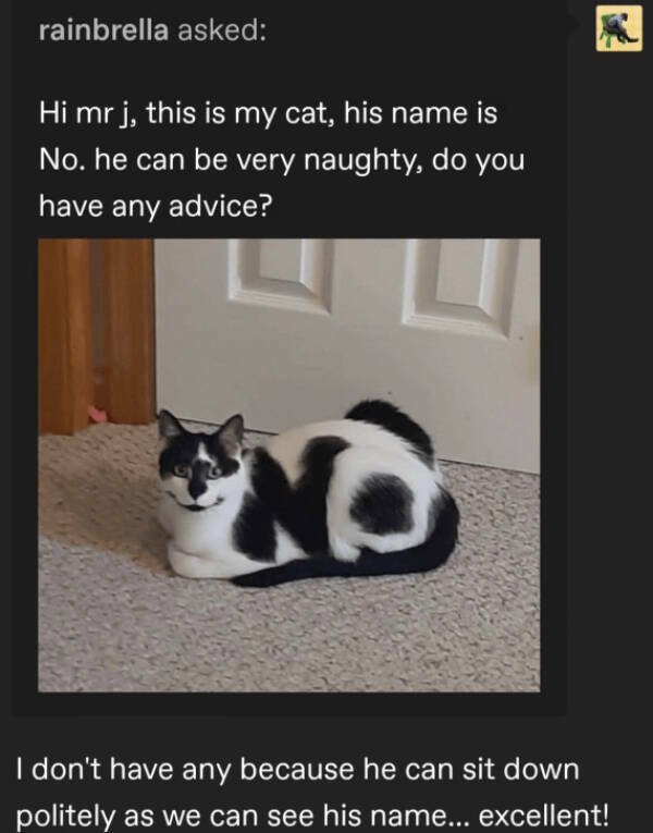 Kind Jokes (27 pics)