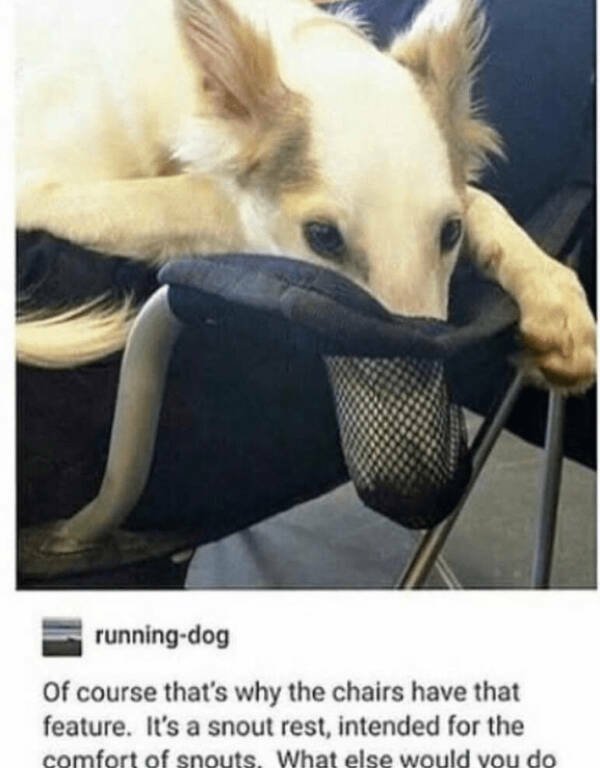 Kind Jokes (27 pics)