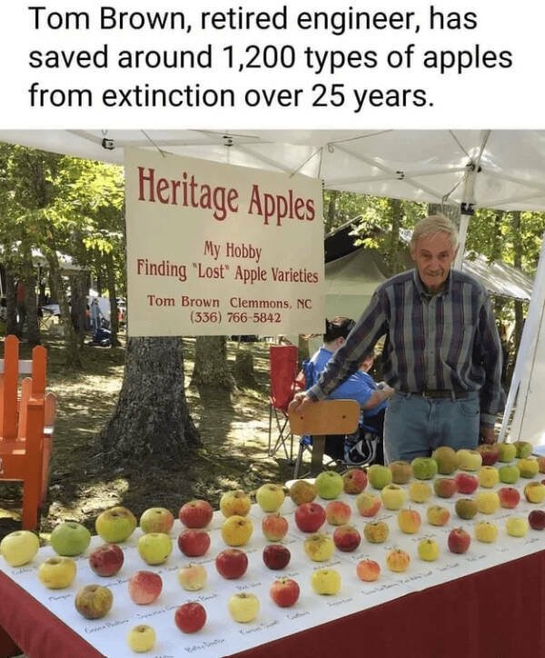 Kind Jokes (27 pics)