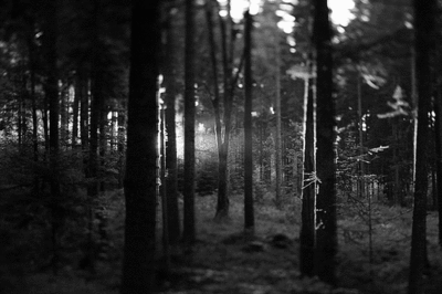 Creepy Facts (15 gifs) Creepy Facts (15 gifs)