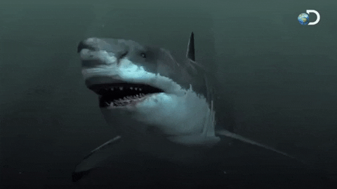 Creepy Facts (15 gifs) Creepy Facts (15 gifs)