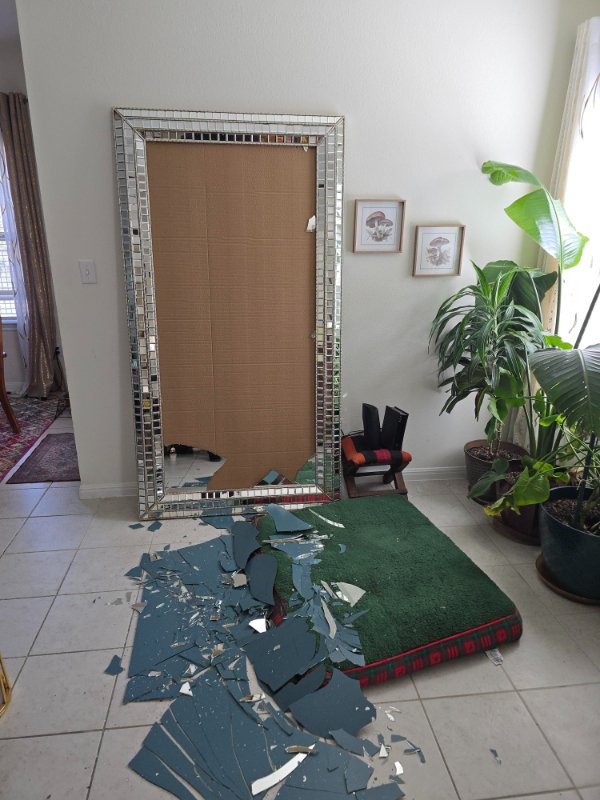 Bad Days Happen (24 pics)