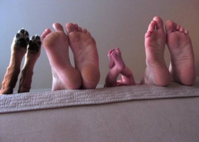 Illogical And Strange Photos (21 pics)