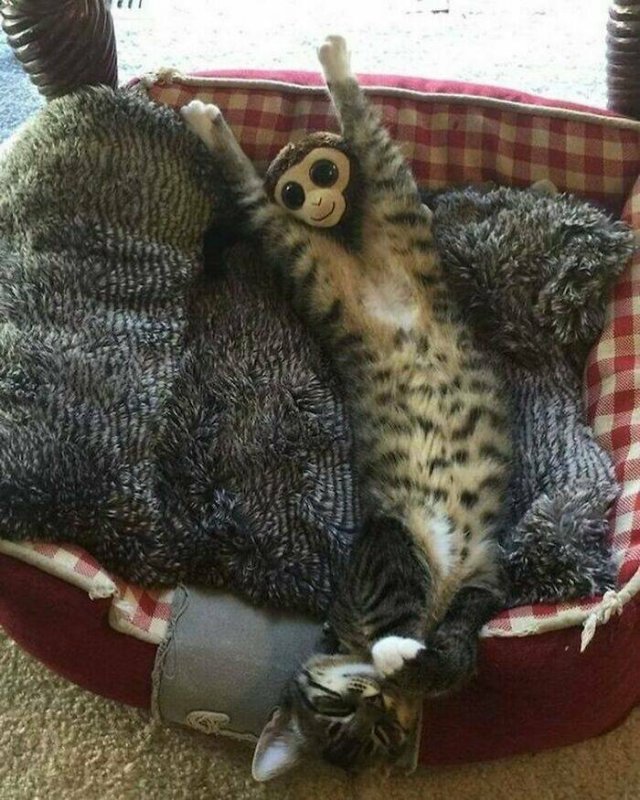 Illogical And Strange Photos (21 pics)