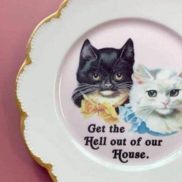 Illogical And Strange Photos (21 pics)