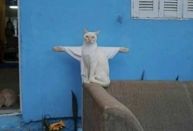 Illogical And Strange Photos (21 pics)