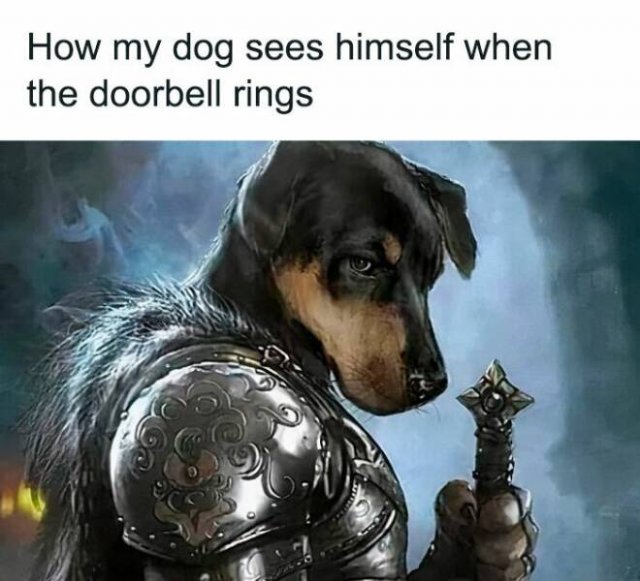 Memes For Dog Lovers (23 pics)