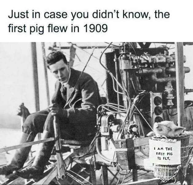 Historical Memes (21 pics)