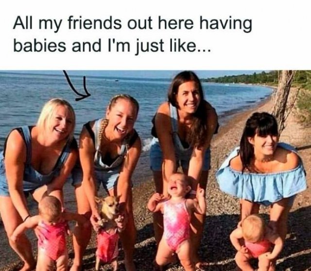 Memes For Dog Lovers (23 pics)