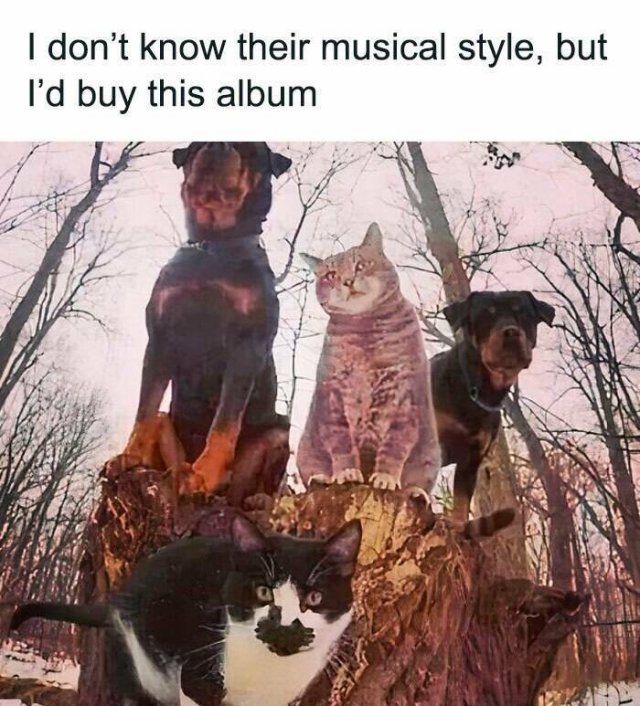 Memes For Dog Lovers (23 pics)