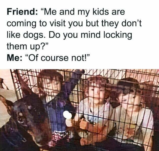 Memes For Dog Lovers (23 pics)