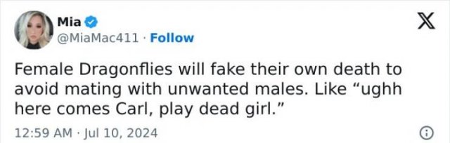 Jokes For Women (23 pics)