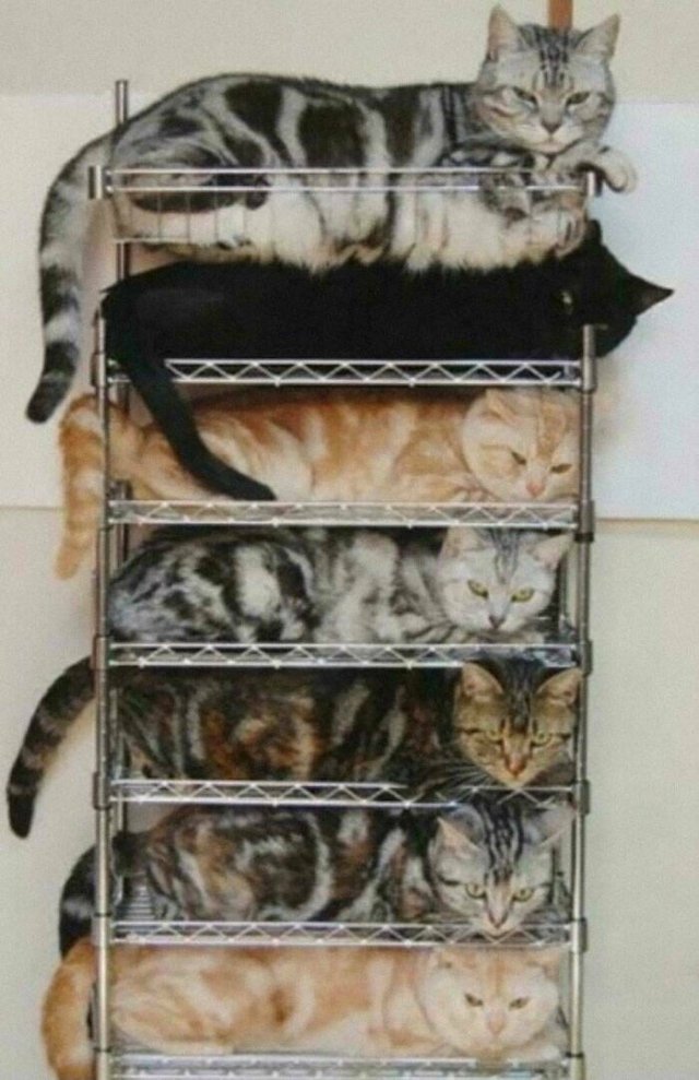 Perfect Space Organization (15 pics)